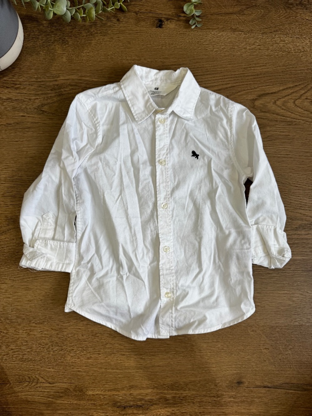 H&M Boys White Button Down Shirt Lion Embroidery Size 5T